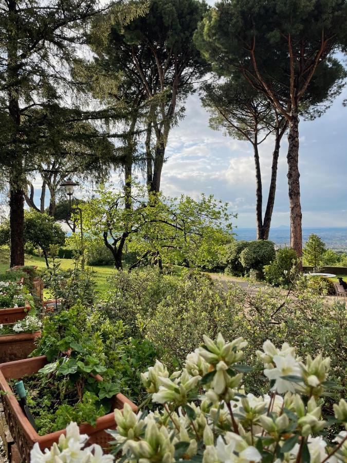 Appartamento Castelli Romani - Con Vista Su Roma Monte Porzio Catone Eksteriør billede